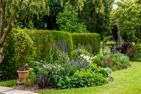 Garden-45