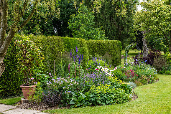 Garden-45