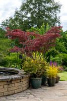 Garden-3