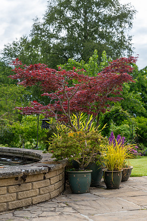 Garden-3