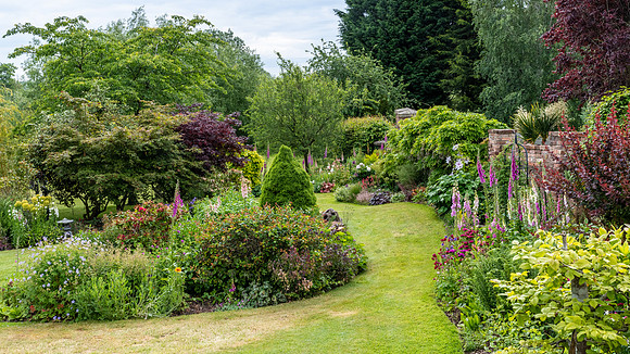 Garden-23