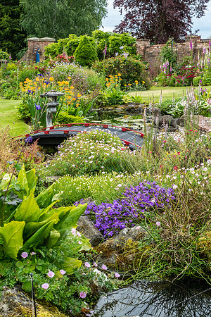 Garden-37