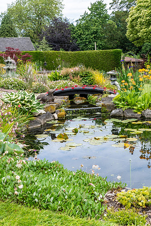 Garden-34