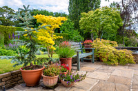 Garden-2