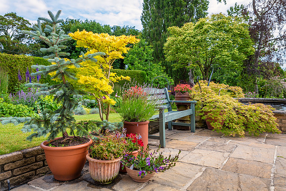 Garden-2