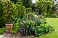 Garden-47