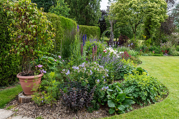Garden-47