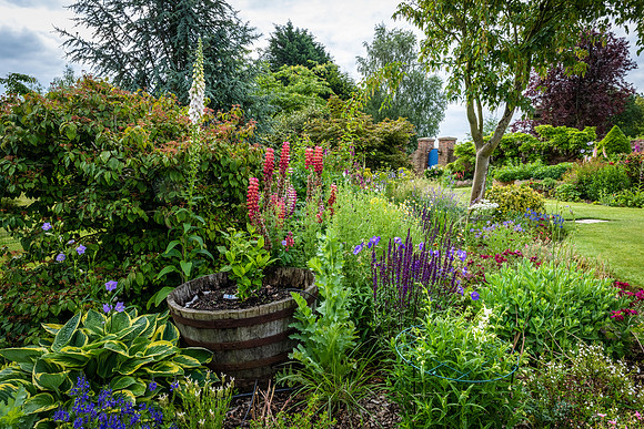 Garden-10