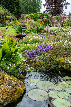 Garden-38
