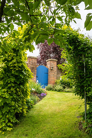 Garden-56