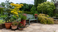 Garden-43