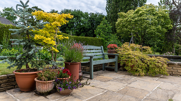 Garden-43