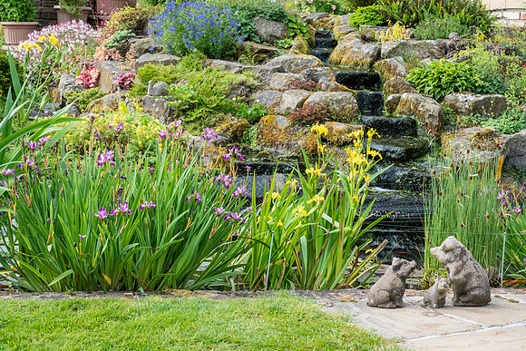 Garden-7