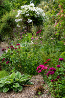 Garden-46