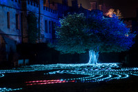 Sudeley Castle Christmas Lights-15