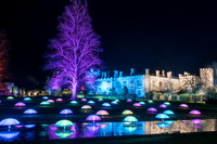 Gloucestershire - Sudeley Castle Christmas Lights