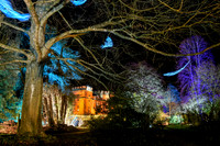 Sudeley Castle Christmas Lights-4