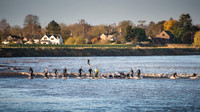 Catching the wave at Epney