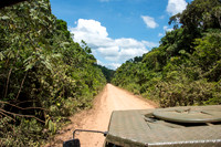 Into Iwokrama Forest, the main road -1