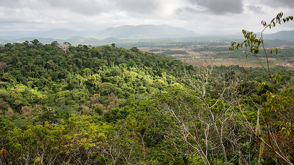 Iwokrama Forest at Surama -2