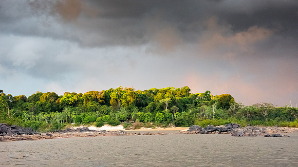 Storm over the forest  -4