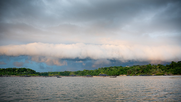 Storm over the forest  -2
