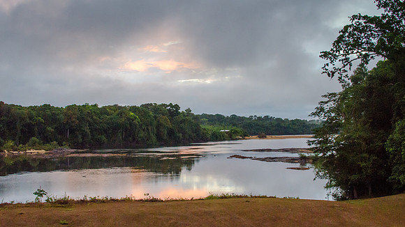 Essequibo River at Iwokrama Lodge