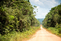 Into Iwokrama Forest, the main road -2