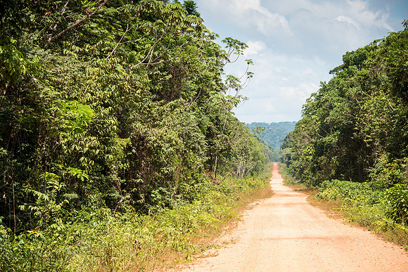 Into Iwokrama Forest, the main road -2