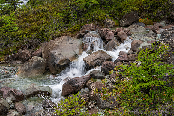Glaciers Viewpoint Trail -18