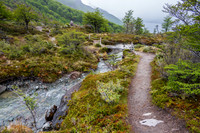 Glaciers Viewpoint Trail -13