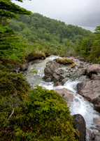 Glaciers Viewpoint Trail -17