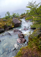 Glaciers Viewpoint Trail -15