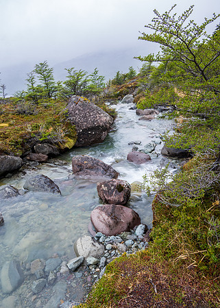 Glaciers Viewpoint Trail -15