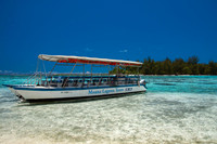 Mo'orea - 14