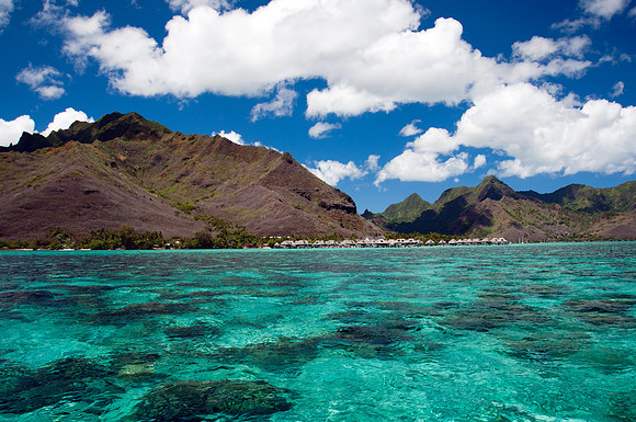 Mo'orea - 7