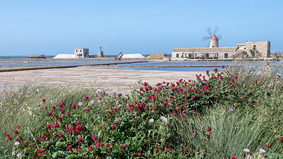 Trapani Salt Museum -7