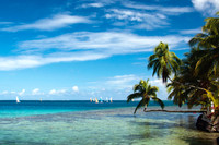 Mo'orea - 18
