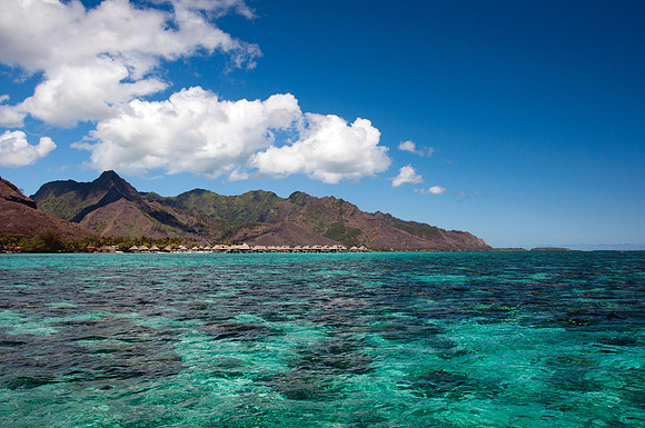 Mo'orea - 6