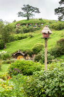 Hobbiton -5
