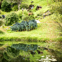 Hobbiton -11
