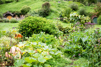 Hobbiton -6
