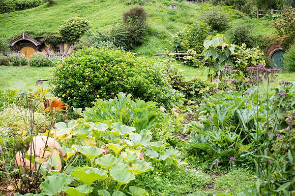 Hobbiton -6