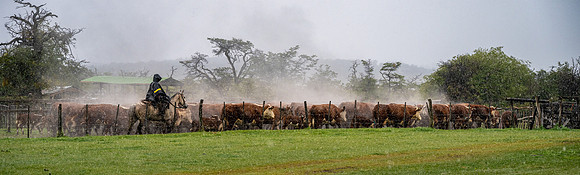 Estancia -5