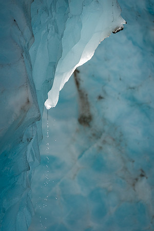 Franz Joseph Glacier -15