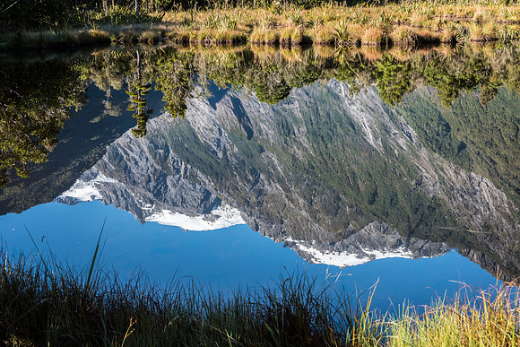 Peter's Pool Reflection