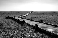 Sussex-73