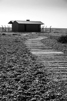 Sussex-72