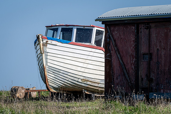 Sussex-83