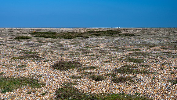 Sussex-135